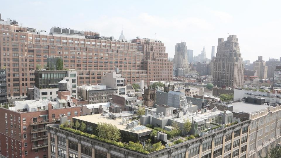 Manhattan rooftops with a planted roof terrace in the foreground and Midtown towers in the distance